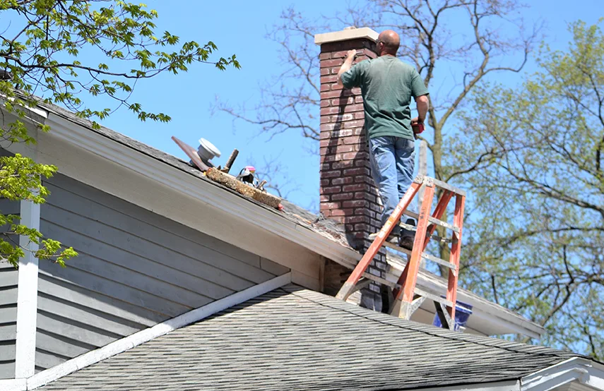 Chimney & Fireplace Inspections Services in Gautier, MS
